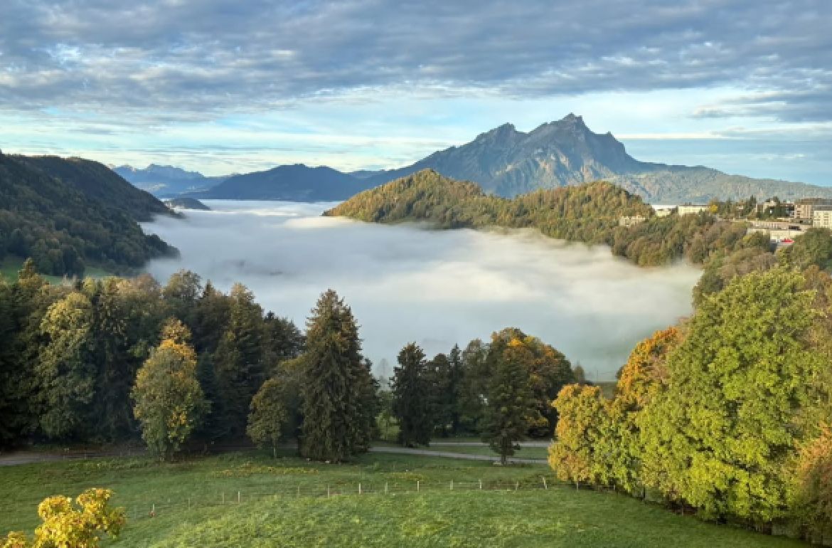 Willkommen an der HF Bürgenstock! Lernen, wo andere die Aussicht geniessen: Mit Blick auf die beeindruckende Bergwelt und das Nebelmeer wird Bildung bei uns zu einem besonderen Erlebnis.

Informiere dich jetzt über unsere Kurse und Weiterbildungen im Jahr 2027 und investiere in deine berufliche Zukunft.

Wir freuen uns darauf, auch dich bald auf dem ...